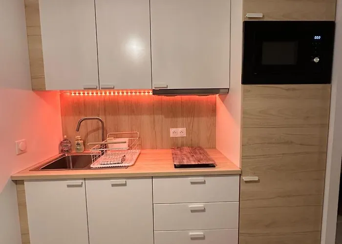 公寓 A 500m De La - L Oyat - *